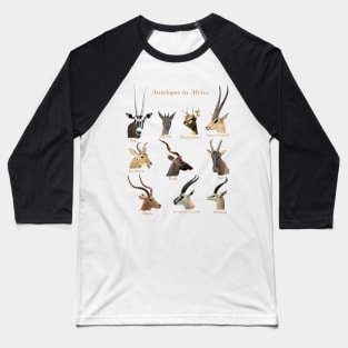 Antelopes in Africa Baseball T-Shirt